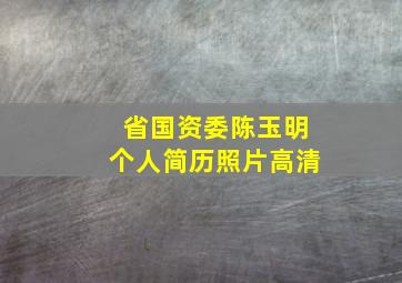 省国资委陈玉明个人简历照片高清