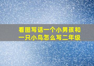 看图写话一个小男孩和一只小鸟怎么写二年级