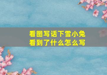 看图写话下雪小兔看到了什么怎么写