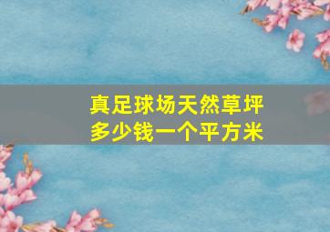 真足球场天然草坪多少钱一个平方米