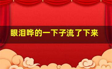 眼泪哗的一下子流了下来