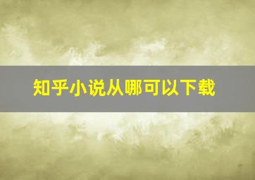 知乎小说从哪可以下载