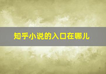 知乎小说的入口在哪儿