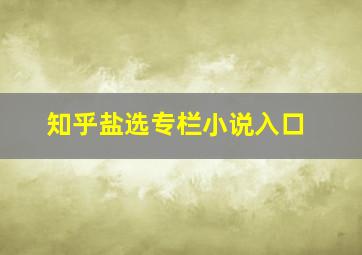 知乎盐选专栏小说入口