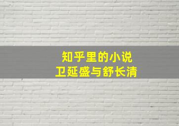 知乎里的小说卫延盛与舒长清