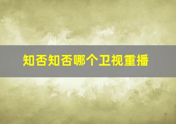 知否知否哪个卫视重播