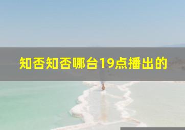 知否知否哪台19点播出的