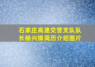 石家庄高速交警支队队长杨兴锋简历介绍图片