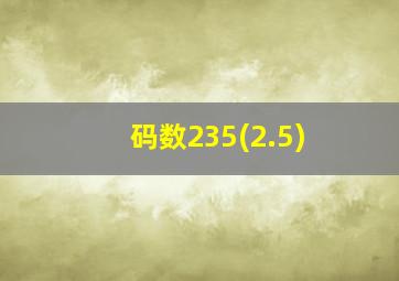 码数235(2.5)