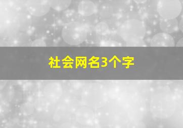 社会网名3个字