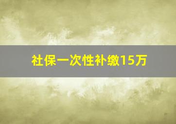 社保一次性补缴15万