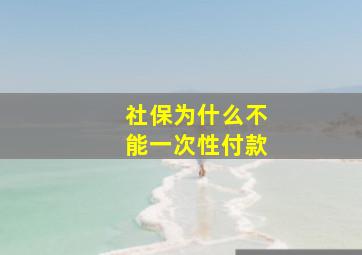 社保为什么不能一次性付款