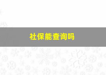 社保能查询吗