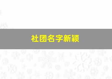 社团名字新颖