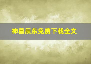 神墓辰东免费下载全文