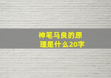 神笔马良的原理是什么20字