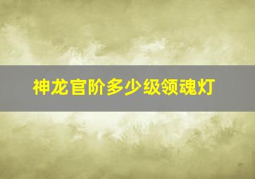 神龙官阶多少级领魂灯