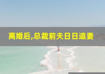 离婚后,总裁前夫日日追妻