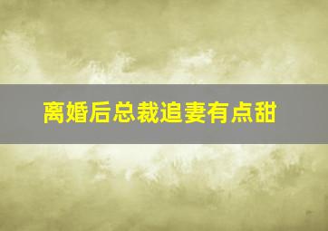 离婚后总裁追妻有点甜