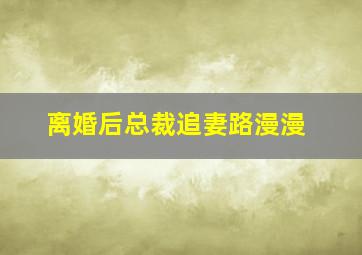 离婚后总裁追妻路漫漫