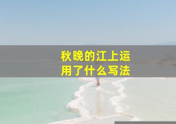 秋晚的江上运用了什么写法