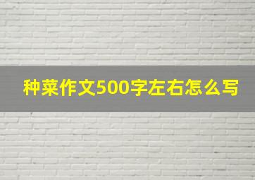 种菜作文500字左右怎么写