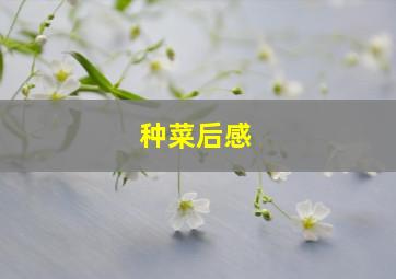 种菜后感