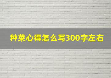 种菜心得怎么写300字左右