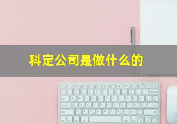 科定公司是做什么的