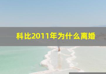 科比2011年为什么离婚