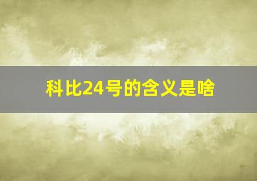 科比24号的含义是啥