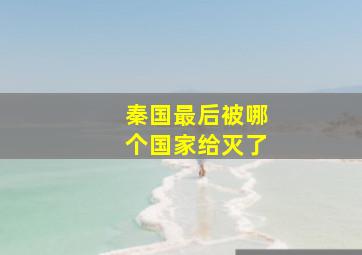 秦国最后被哪个国家给灭了