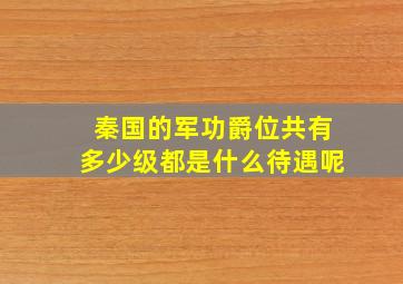 秦国的军功爵位共有多少级都是什么待遇呢