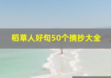 稻草人好句50个摘抄大全