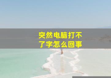 突然电脑打不了字怎么回事