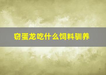 窃蛋龙吃什么饲料驯养