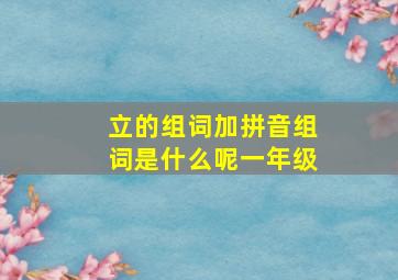 立的组词加拼音组词是什么呢一年级