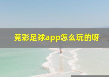 竞彩足球app怎么玩的呀