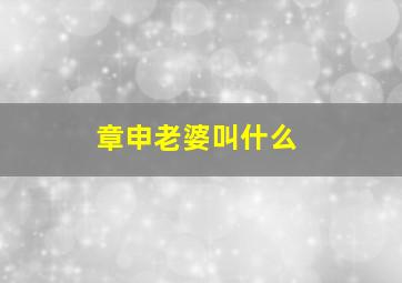 章申老婆叫什么