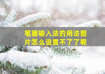 笔画输入法的用法图片怎么设置不了了呢