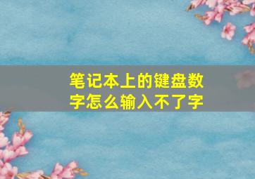 笔记本上的键盘数字怎么输入不了字