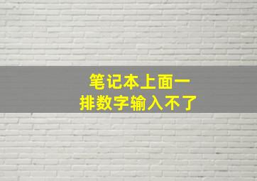 笔记本上面一排数字输入不了