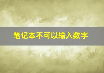 笔记本不可以输入数字