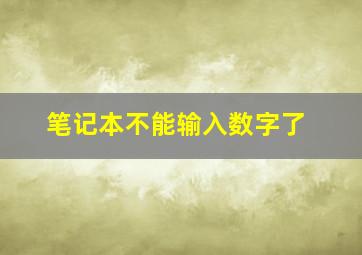 笔记本不能输入数字了