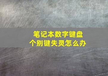 笔记本数字键盘个别键失灵怎么办