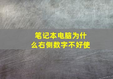 笔记本电脑为什么右侧数字不好使