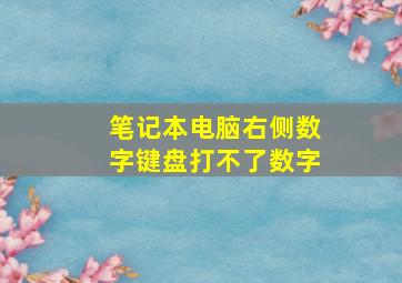 笔记本电脑右侧数字键盘打不了数字