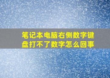 笔记本电脑右侧数字键盘打不了数字怎么回事