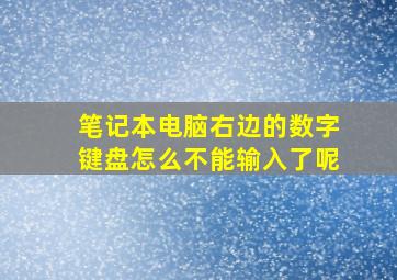 笔记本电脑右边的数字键盘怎么不能输入了呢