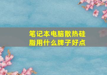 笔记本电脑散热硅脂用什么牌子好点